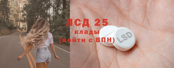 ПСИЛОЦИБИНОВЫЕ ГРИБЫ Нязепетровск