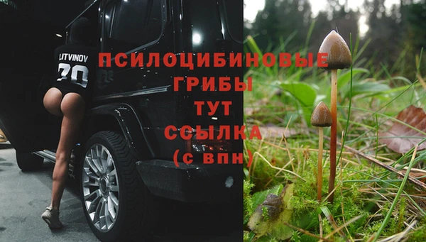 MDMA Няндома