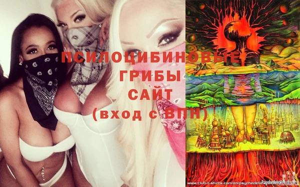 ГАЛЛЮЦИНОГЕННЫЕ ГРИБЫ Остров