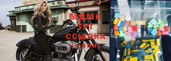 крисы Бородино