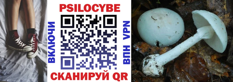 Псилоцибиновые грибы мицелий  Сортавала 